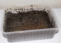COLLEMBOLA/ SPRINGSTAARTJES 1 LITER