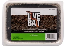 DENDROBAENA VISSERSWORM (100 STUKS)