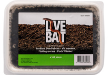VERS DE TERRE (100 PCS)