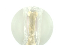 GEPERST KAUWBOT 8,5 INCH (21CM) 1ST