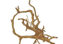 Decorazioni