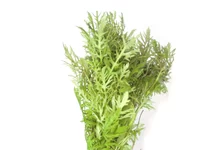 Hygrophila difformis in bos