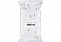 River shrimps 250ml (8-10 stuks) - LV