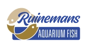 Poissons aquarium