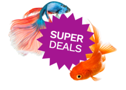 Check out this month's super deals
