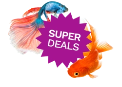 Bekijk de superdeals van deze maand